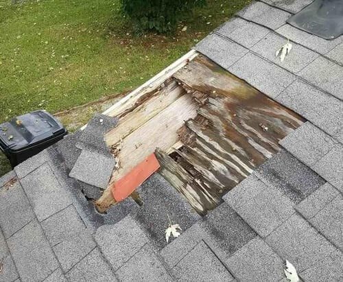 Roof Decking Warning Signs You Should Never Ignore