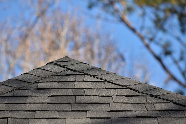Wood Shake Roof vs Asphalt Shingles – Stop Wasting Money on the Wrong Roof