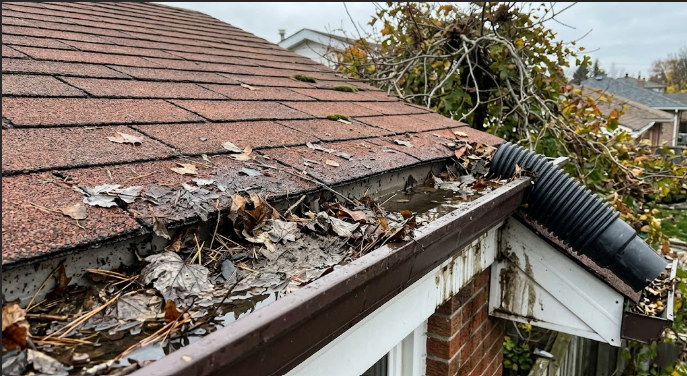 Clogs and Debris Buildup